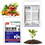 NPK Granules Blended Fertilizer Organic Fertilizer Humic Acid Amino Acid