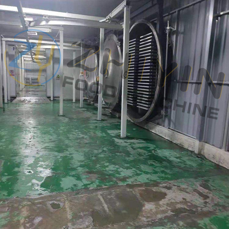 Vacuum Food Fruit And Vegetable Slices Freeze-drying Machine Customized Factory Price