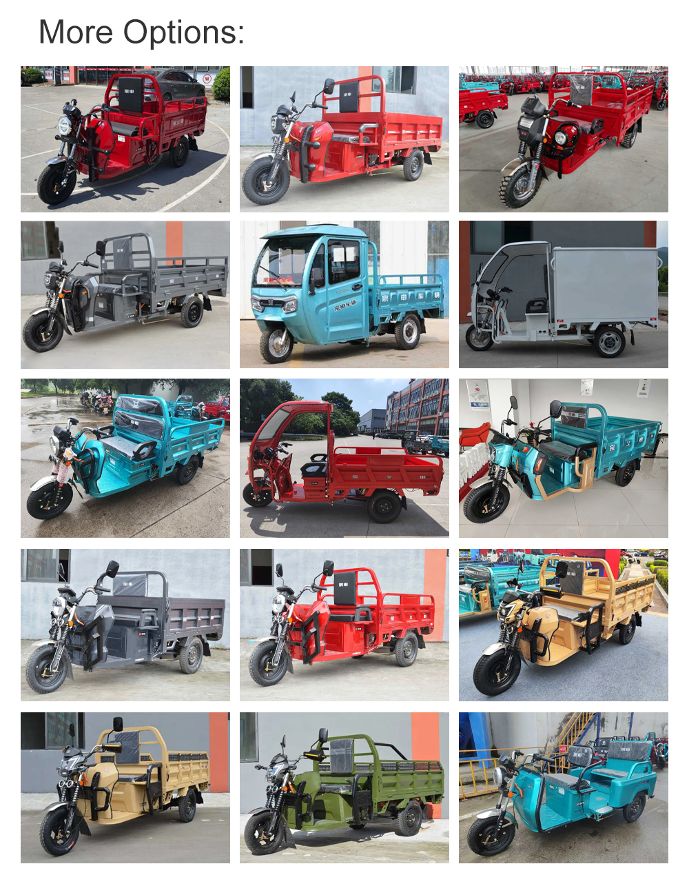 600kg Payload Capacity Electric Tricycles with Front and Rear Drum Brakes Included