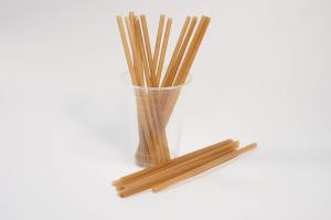 China Beverage Stores 8 Inch Biodegradable Straws Plastic With Bagasse wholesale