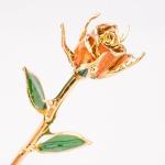 24k Gold Rose preserved rose in Gift Box with Clear Display Stand Best Gift