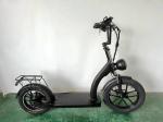 Richbit H200 Fat Electric Scooter Cycle 1000w 48v 16ah 20x3.0 Inch