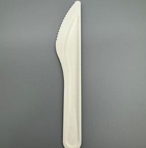 China Eco Friendly Compostable Degradable Disposable Sugarcane Bagasse Paper Pulp Knife wholesale