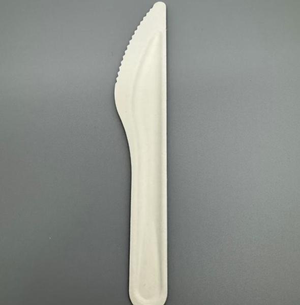 Eco Friendly Compostable Degradable Disposable Sugarcane Bagasse Paper Pulp