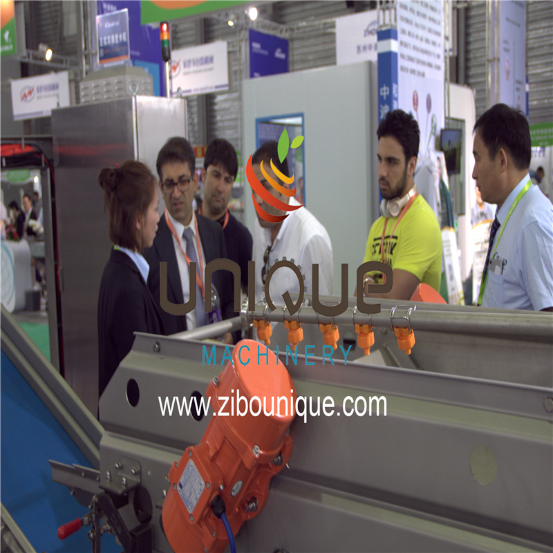 Advanced Vegetable Packing Machine for Plastic Film Strap Band Binding Tape Bundling