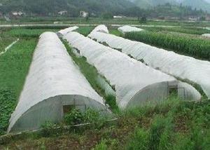 China Lightweight Agriculture Non Woven Fabric Various Colors Available wholesale