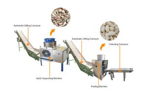 China Industrial Automatic Garlic Breaking Peeling Peeler Processing Machine Production Line wholesale