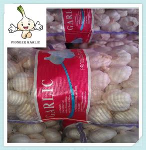 China Hot Sale 2016 price of Chinese natural garlic/normal white/pure white garlic wholesale