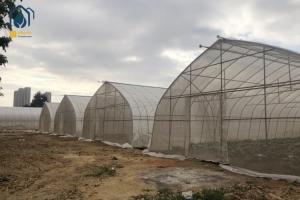China Stainless Steel Sigma Hoop House Greenhouse With Hydroponic Growing System wholesale