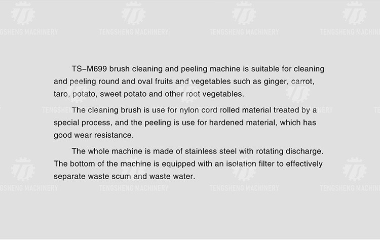 1500KG/H Sweet potato hair roller cleaning machine carrot automatic peeling cleaning potato peeling machine