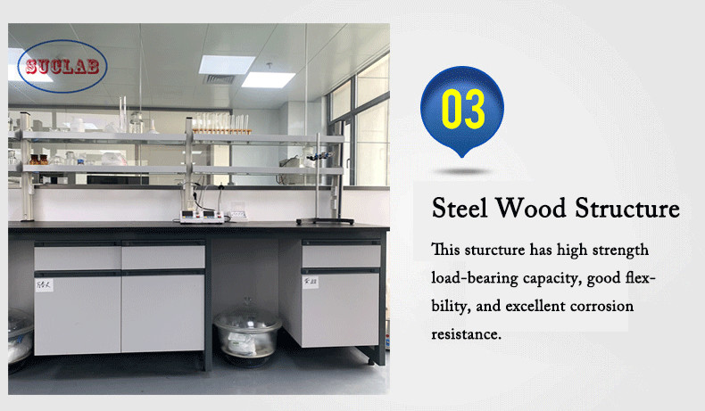 Steel Wood Structure Chemistry Laboratory Workbench For Efficient Workstations Laboratory Furniture Design