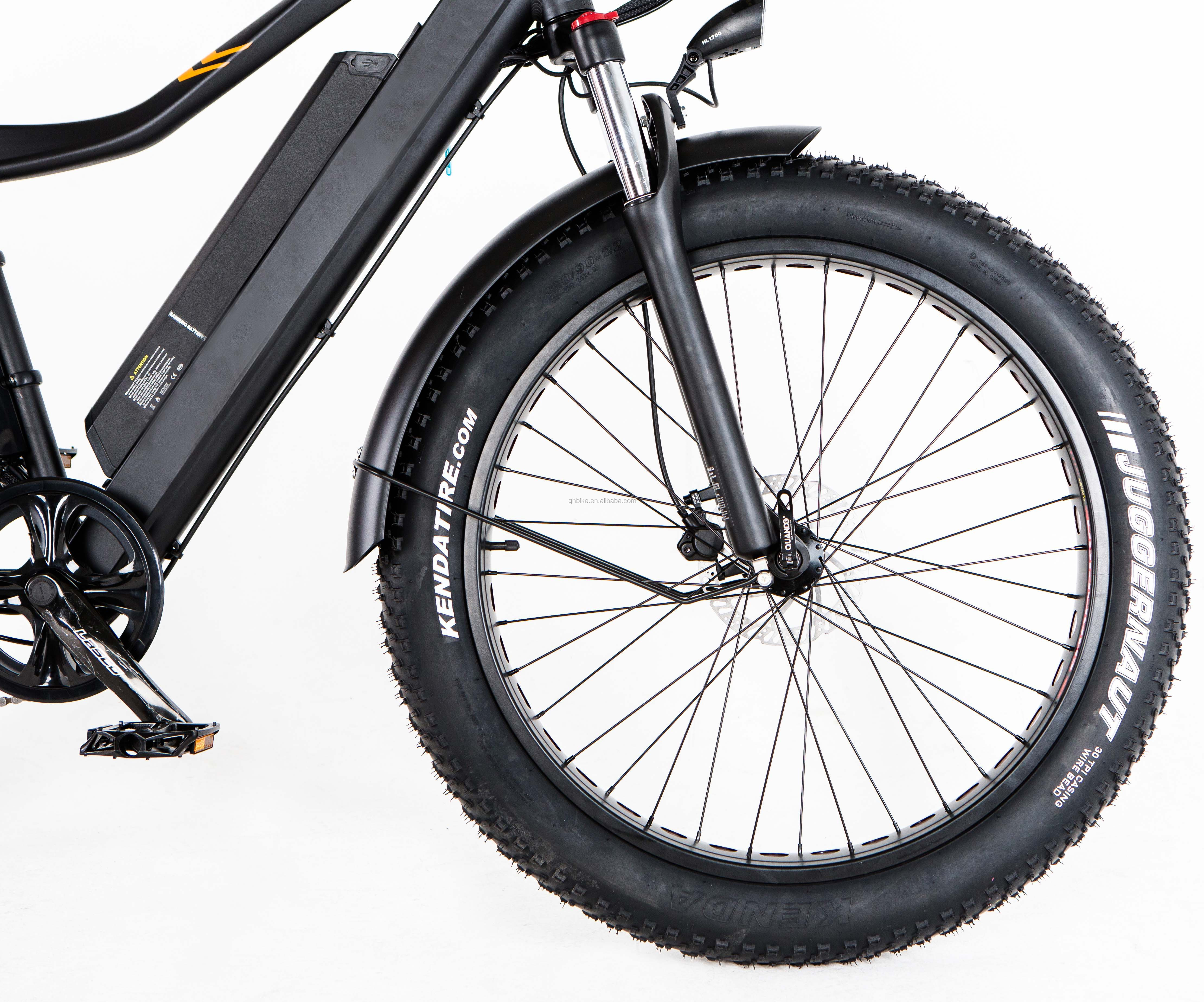 48V 21ah Aluminum Alloy Full Suspension Frame Fat Tire Electric Bike with 1000W Motor