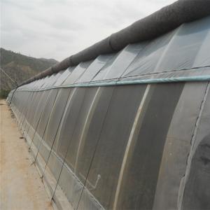 China Automatic High Insulated Agricultural Greenhouse With Customized Temperature Control wholesale