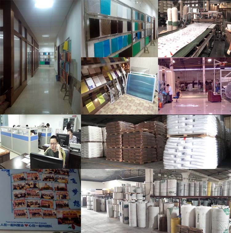 Outdoor Modern 10mm PC Sheet Heat Insulation Hollow Sheet Plastic Twin Wall