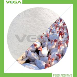 China Veterinary Products Florfenicol 20% Premix wholesale