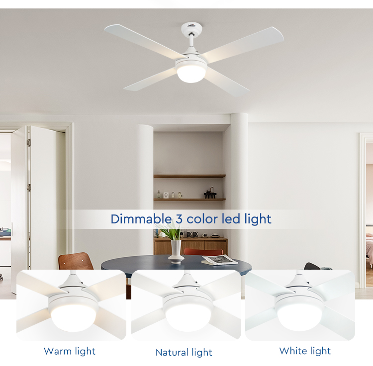 ceiling fan