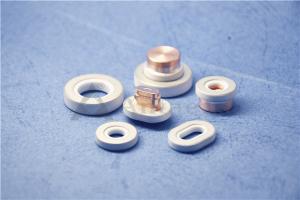 China Metallized 95% AL2O3 Alumina Ceramic Insulator For Battery wholesale