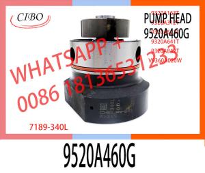 China High Quality Diesel Fuel Injection Pump DPA Head Rotor 7189-340L For 9520A460G wholesale