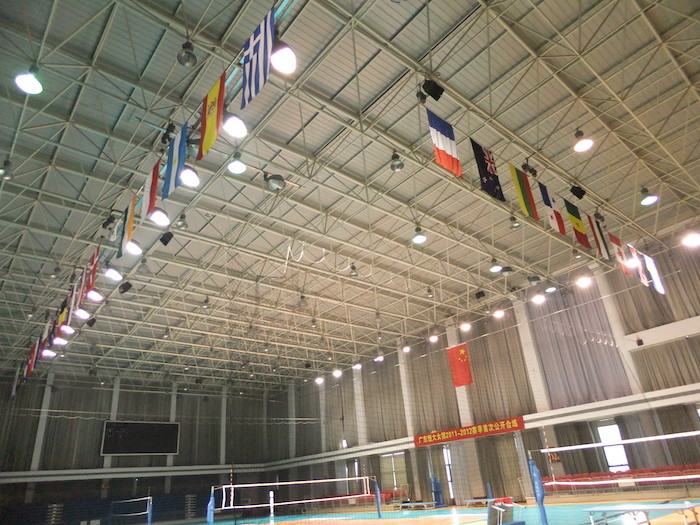 100W Light Fixture Lowering System