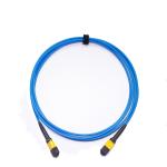 CPR Armored MPO MTP Mpo Trunk Cable Flexing Stainless Sheath