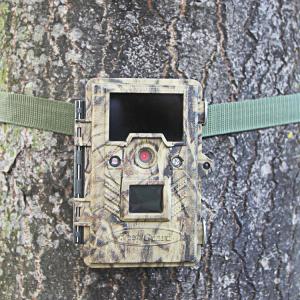 China Hunting Digital Wildlife Camera , Infrared Hunting Camera That Camera Trap wholesale