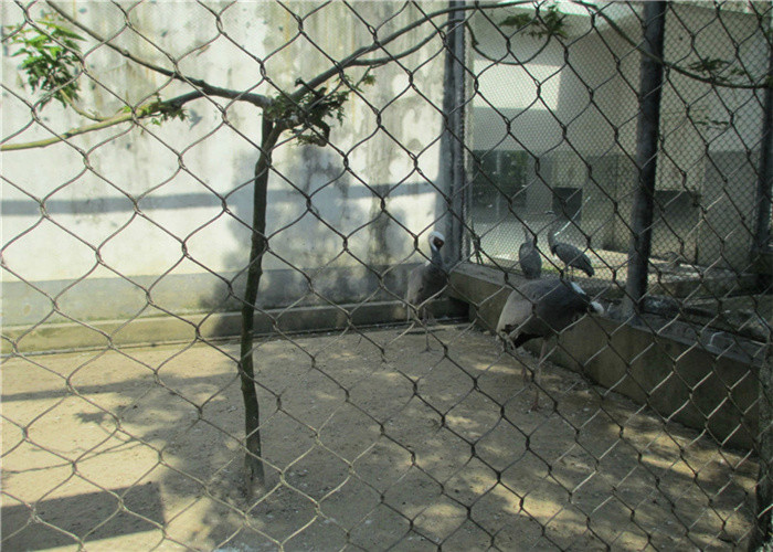 SS304 7x7 Diamond Aviary Wire Mesh / 316 High Tensile Steel Wire Mesh
