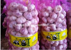China Breathable PE Mesh Woven Bag Garlic Packing Rachel Bags wholesale