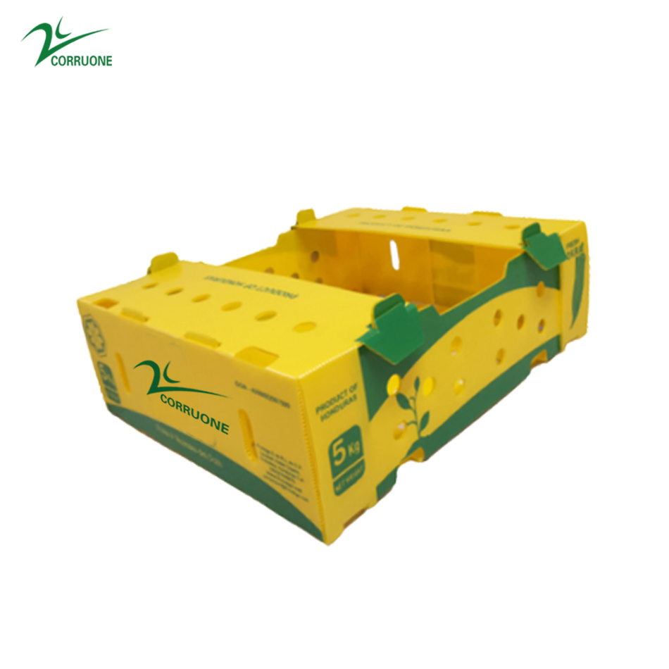 Black Corriflute Fruit Corrugated Boxes Corrugated Plastic Storage Containers