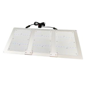 China Samsung Lm301b Horticulture Quantum Board wholesale