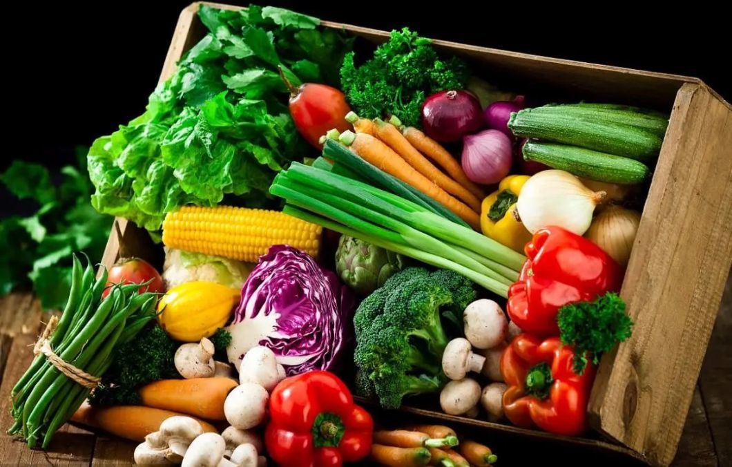 Walk-in Cold Room for Temporary Storage of Non- Processed and Processed and Packed Vegetables