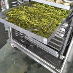 15kg/Batch Pharmaceutical Dryers PLC Fruit Freeze Drying Machine