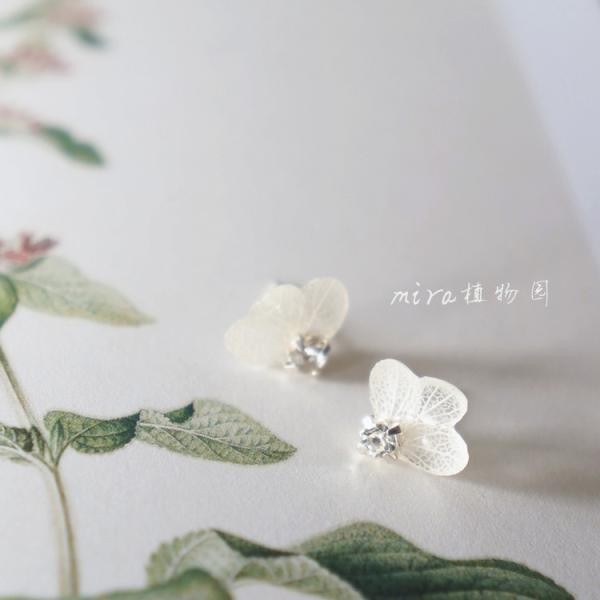 Birthday Gift Flying Butterfly Dry Hydrangea Rhinestone Real Flower Women