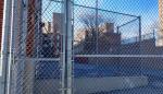 Galvanized Chain Link Fence / PVC Coated Chain Link Fence