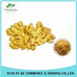 100% Natural Yellow Ginger Extract Powder 10 :1