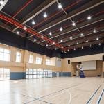 Sound Absorbing Suspended Wood Panel Ceiling , Perforated Wood Acoustic Panels