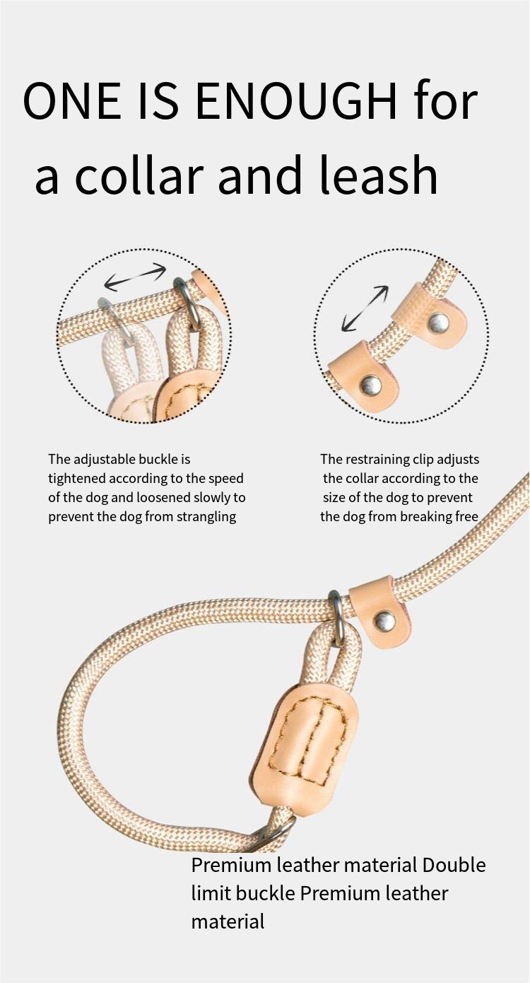 Mesh Dog Leash Training Dog P Chain Flush Adjustable Dog Leash