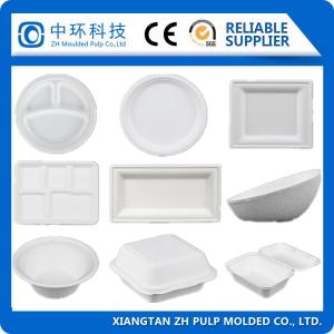 China High Efficiency Paper Pulp Molding Machine 30kw Plate Forming wholesale