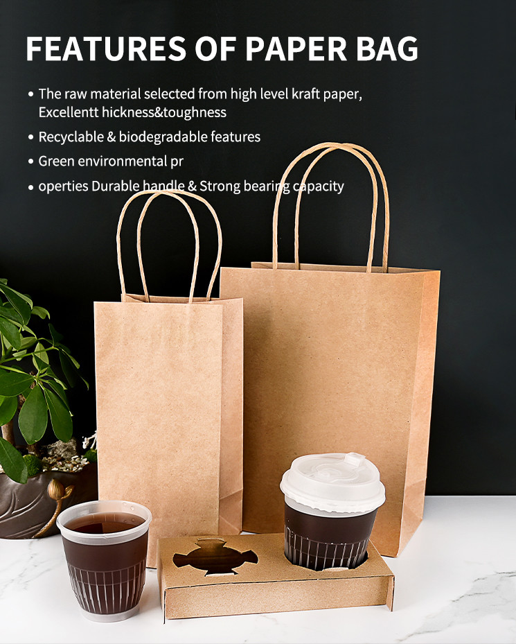 Lightweight Reusable Paper Take Out Bags Takeaway Delivery Bags Eco Friendly Lifestyle
