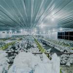 300g Pan Capacity Chicken Farm Equipment 380V 220V Broiler Raising