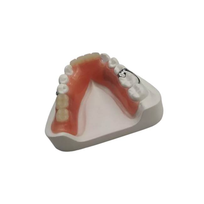 Flexible Resin Denture Dental Lab Dental Acrylic Removable Partial Dentures