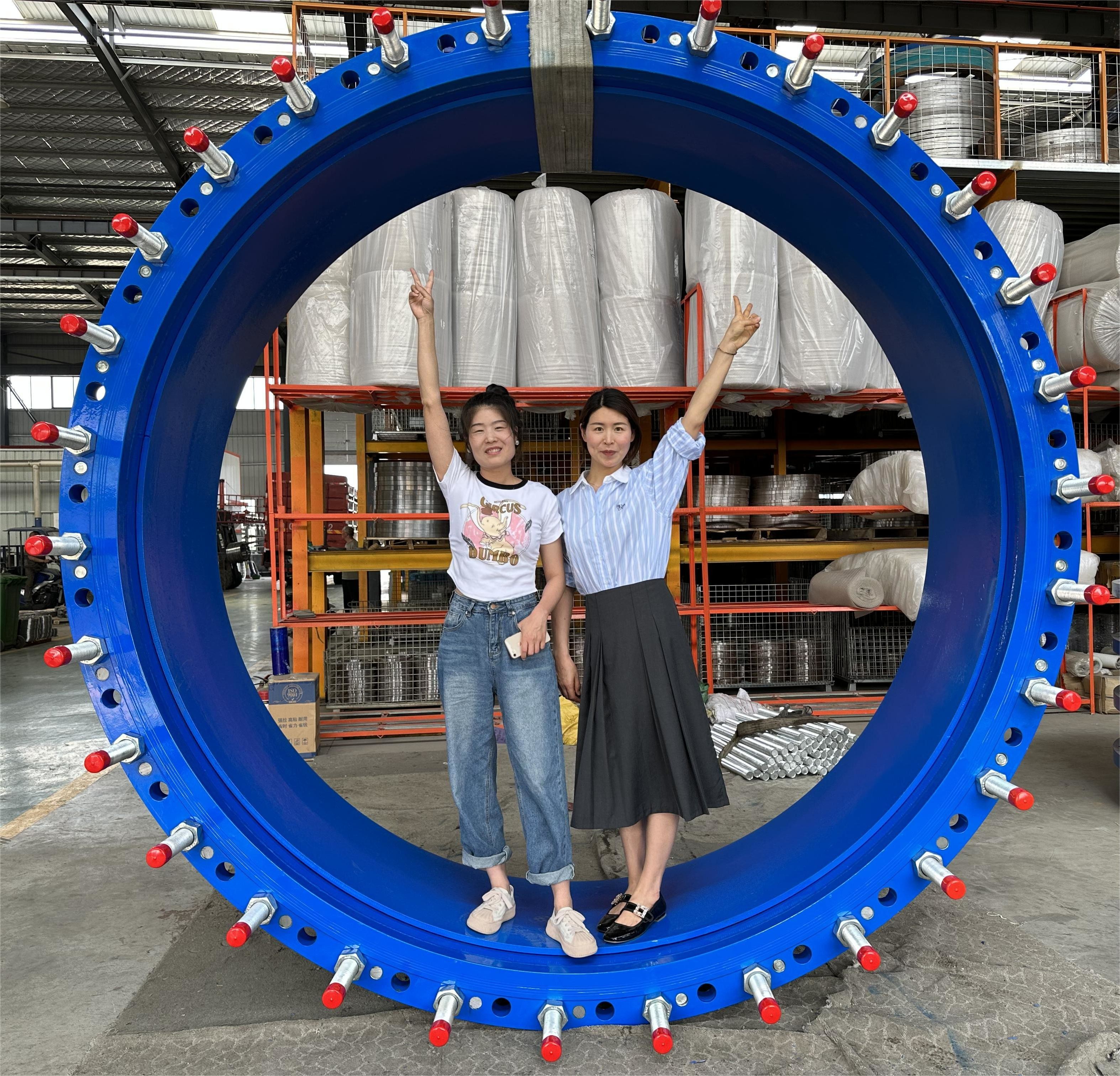 250mm 300mm Dismantling Joint Stainless Steel Double Flanged Loose Joints For Expansion Joint