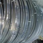Tisco Cold Rolled Stainless Steel Strip Coil Grade 304 201 Customized