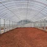 Double Film Double Arches Greenhouse Vegetable Growing 2.8m Tunnel Plastic