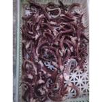 For Thailand Fish Market A Grade IQF Frozen Indian Squid Tentacles Cut Wholes
