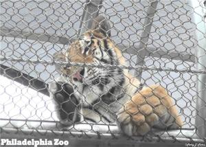 China Zoo Flexible Stainless Steel Rope Mesh 304L 316 5mm wholesale
