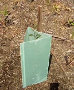 China Corruone Corrugated Tree Protectors Waterproof wholesale