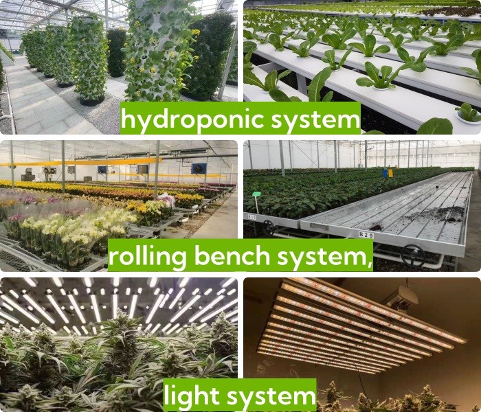 8mm 10mm Commercial Polycarbonate Greenhouse With Shading System Irrigation System