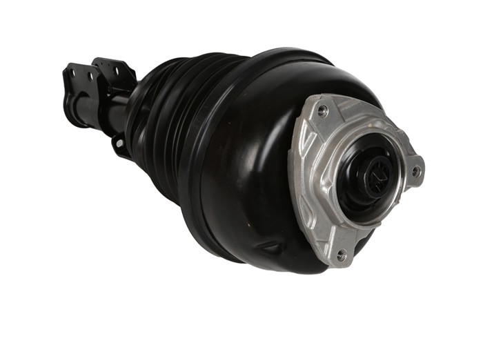 2WD CLS - Class W218 Mercedes Benz Air Suspension Front Left Air Ride Shock Strut 2183206513