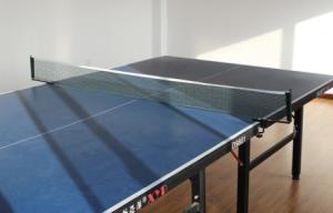 China Various Models Outdoor Sports Netting , Portable Table Tennis Roll Net wholesale