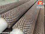 ASTM A312 TP304 Stainless Steel Studded Tube for Furnances Evaporators